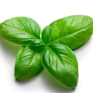 Basil Genovese حبق