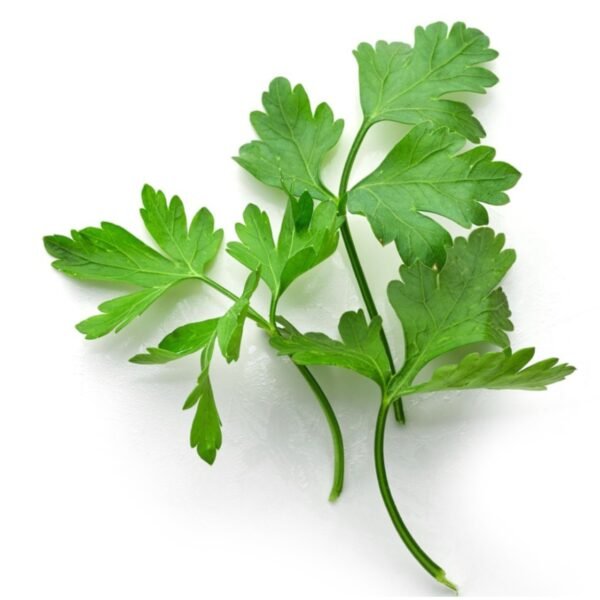 Parsley بقدونس