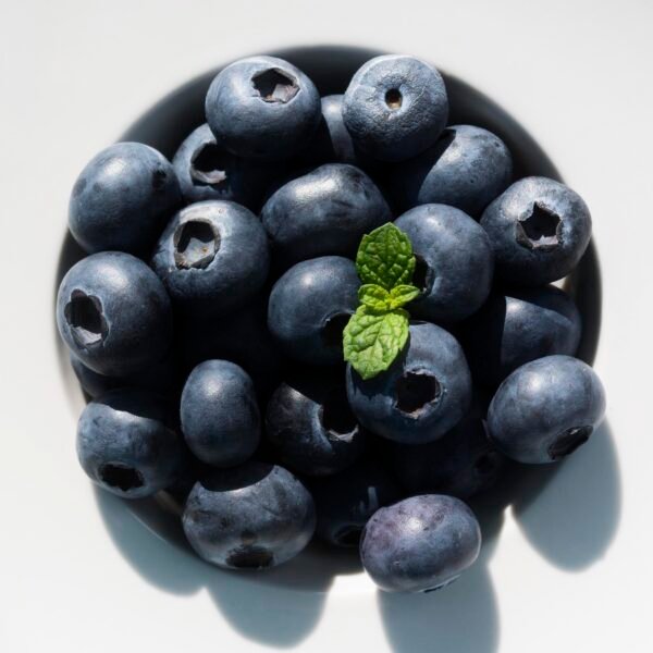 Blueberry  توت