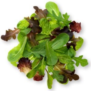 Mixed Salad سلطة خس