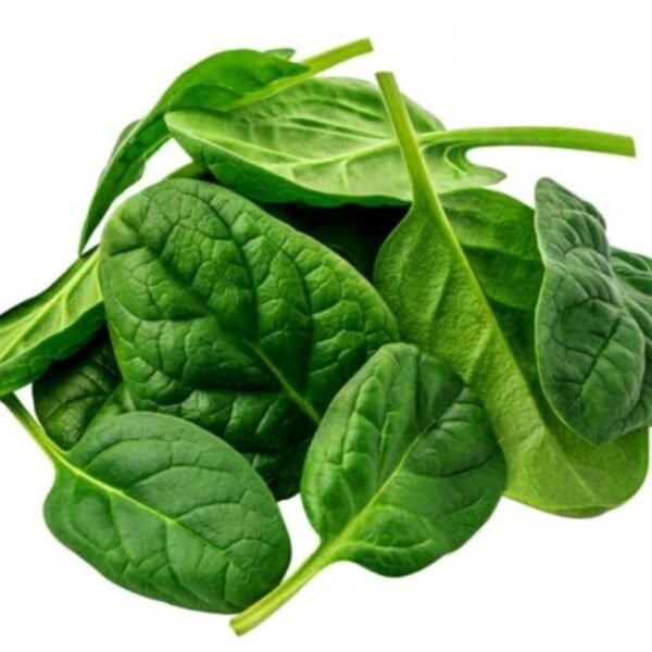 Baby Spinach سبانغ صغير